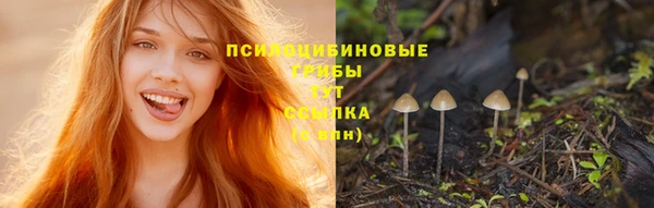 марки nbome Армянск