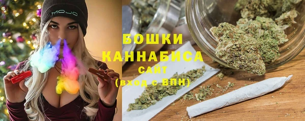 стаф Арсеньев